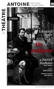 Un Pedigree | avec Edouard Baer Thtre Antoine Affiche