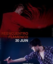 Reencuentro flamenco Apollo Thtre - Salle Apollo 360 Affiche