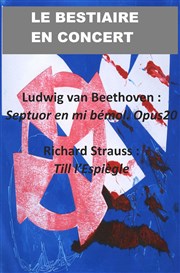 Septuor de Beethoven / Till l'Espiègle de Strauss Thtre Pixel Affiche