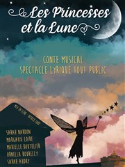 Les Princesses et la Lune Centre Paris Anim' Les Halles Le Marais Affiche