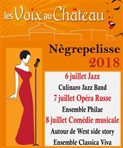 Soirée lyrique | Festival Les Voix au Château Chateau de Ngrepelisse Affiche