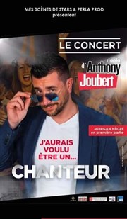 Anthony Joubert : Le concert... rigolo Paradise Rpublique Affiche