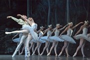 Le Lac des Cygnes | par le Ballet de l'Opéra National Tchaïkovski de Perm Opra de Massy Affiche