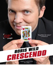 Boris Wild dans Crescendo Le Double Fond Affiche