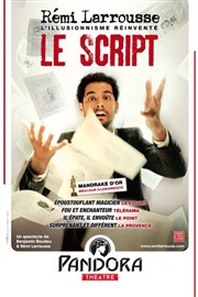 Le Script Pandora Thtre Affiche