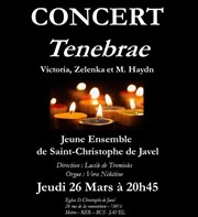 Concert Tenabrae Eglise Saint-Christophe de Javel Affiche