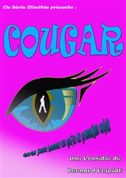 Cougar cherche jeune homme en quête de promotion sociale Salle Polyvalente Affiche