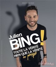 Julien Bing dans Toute la vérité, rien que la vérité, ou presque La Comdie d'Avignon Affiche