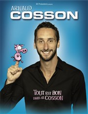 Arnaud Cosson dans Tout est bon dans le Cosson Thtre des Bliers Parisiens Affiche