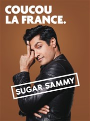Sugar Sammy Palais des congrs - Le Vinci Affiche