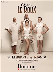 Cirque Le Roux dans The Elephant In The Room Bobino Affiche