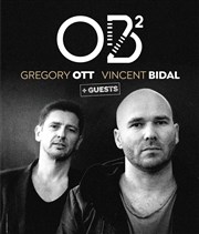 Vincent Bidal & Grégory Ott : OB2 L'Européen Affiche