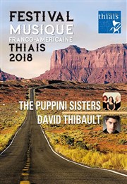 Festival de musique franco-américaine 2018 | Pass 2 spectacles Théâtre de Verdure de Thiais Affiche