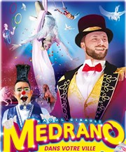 Fantastique Festival International du Cirque Medrano | Roanne Chapiteau Medrano  Perreux Affiche