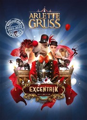 Cirque Arlette Gruss dans ExcentriK | Nancy Chapiteau Arlette Gruss  Nancy Affiche