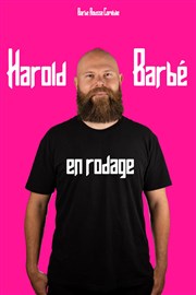 Harold Barbé | En rodage Le Bar et Vous Affiche