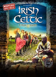 Irish Celtic : Le chemin des légendes Parc des Expositions Quimper Cornouaille Affiche