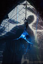 TeKhNê Cirque Electrique - La Dalle des cirques Affiche