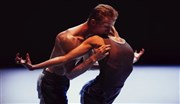 Nederlans Dans Theater 2 | León & Lightfooy / Ekman / Goecke Chaillot - Thtre National de la Danse / Salle Jean Vilar Affiche