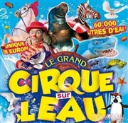Le Cirque sur l'Eau | - Toulon Chapiteau Le Cirque sur l'Eau  Toulon Affiche