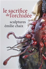 Sculptures d'Emilie Chaix | Le sacrifice de l'orchidée Galerie nomade Lil de la femme  barbe Affiche