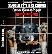 Dans la tête des chiens | spéciale chiens de refuge Thtre de la Tour Eiffel Affiche