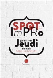 Spot Impro Spotlight Affiche