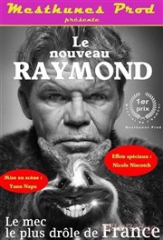 Raymond Forestier dans Le nouveau Raymond Divine Comdie Affiche