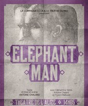 Elephant Man Thtre de l'Aliz Affiche