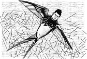 Landru : un nom d'oiseau Thtre d'Ivry Antoine Vitez Affiche