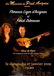 Florence Liger d'Avignon et Farid Zebroune Pixel Avignon Affiche