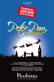 Peter pan: le spectacle musical Bobino Affiche