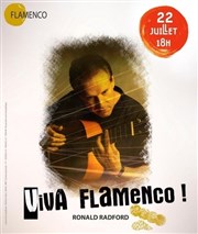 Ronald Radford - Viva Flamenco ! Thtre El Duende Affiche