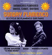 Sunday Flamenco Péniche Antipode Affiche