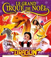 Medrano Le grand cirque de Noël : La Légende du Dragon | - Rouen Chapiteau Medrano  Rouen Affiche