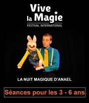 Festival International Vive la Magie pour les enfants La Nouvelle Comdie Gallien Affiche