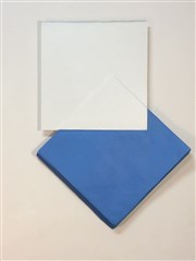 Luciano Figueiredo : La couleur ; pli et contre-pli Galerie Depardieu Affiche