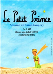 Le Petit Prince Le Bocal Affiche