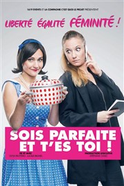 Sois Parfaite Et T Es Toi Le Theatre De Jeanne Billetreduc Com