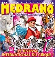 Le Grand Cirque Medrano | - Martigues Chapiteau Medrano  Martigues Affiche