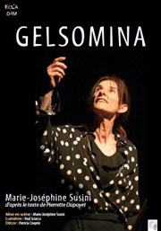 Gelsomina Thtre Carnot Affiche