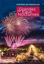 Les grandes eaux nocturnes de Versailles Jardin du chteau de Versailles - Entre Cour d'Honneur Affiche