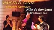 Viaje en el Cante Flamenco Le Jardin Affiche