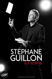 Stéphane Guillon dans C'est merveilleux quand ça se passe bien ! Thtre Le Colbert Affiche
