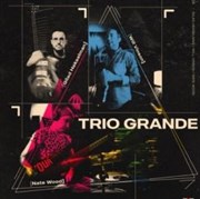 Gilad Hekselman / Will Vinson / Nate Wood dans "Trio Grande" Sunset Caf Affiche
