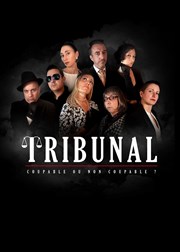 Tribunal Tho Thtre - Salle Tho Affiche