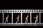 Ballet National du Canada Thtre des Champs Elyses Affiche