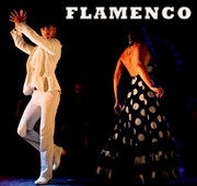 Al andalus flamenco nuevo - fuego Espace Miramar Affiche