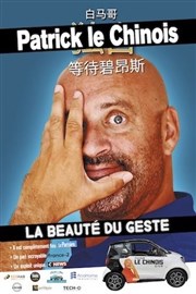 Patrick Le Chinois dans Pour la beauté du geste Thtre  l'Ouest de Lyon Affiche