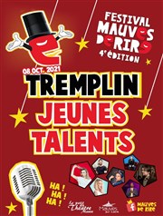 Tremplin Jeunes Talents 4 ème édition Le Vallon Affiche